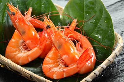 frozen shrimp China_Frozen vananmei shrimp CHOSO
